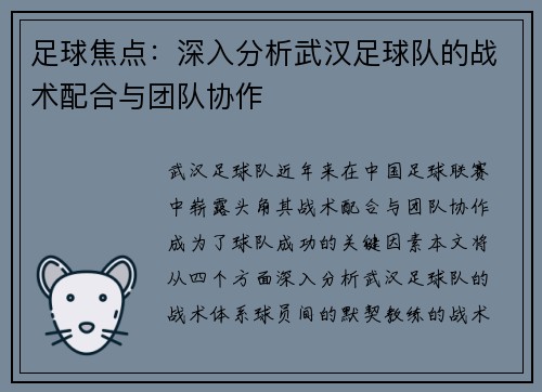 足球焦点：深入分析武汉足球队的战术配合与团队协作