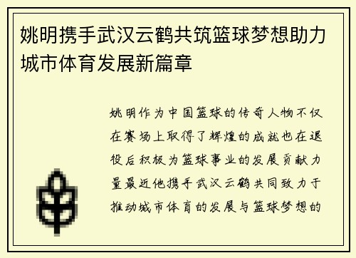 姚明携手武汉云鹤共筑篮球梦想助力城市体育发展新篇章